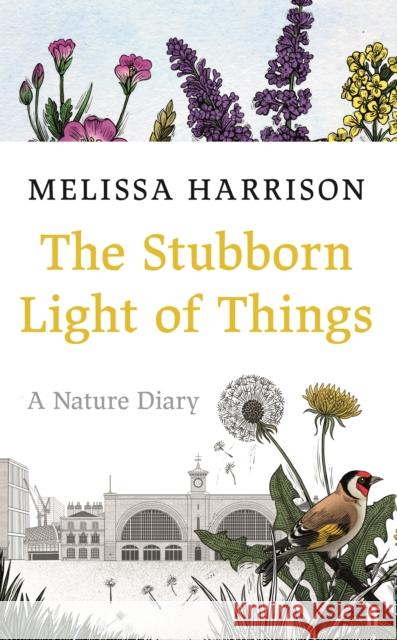 The Stubborn Light of Things: A Nature Diary Melissa Harrison 9780571363506 Faber & Faber
