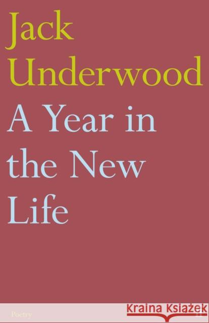 A Year in the New Life Jack Underwood 9780571367252