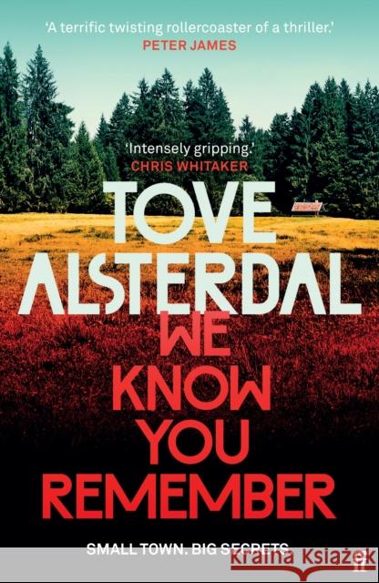 We Know You Remember: The No. 1 International Bestseller Tove Alsterdal 9780571368938