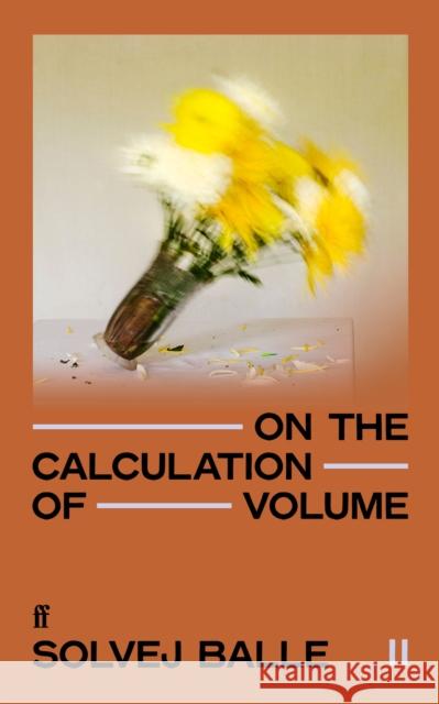 On the Calculation of Volume II: 'Impossible to put down.' Kate Briggs Solvej Balle 9780571383405