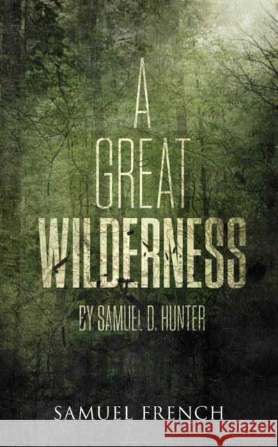 A Great Wilderness Samuel D Hunter   9780573704017