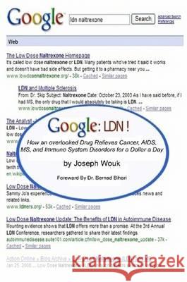 Google LDN ! Mr Joseph Wouk 9780578004396 RV Publishing