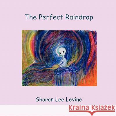 The Perfect Raindrop Sharon Lee Levine 9780578007373