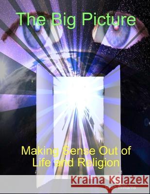 The Big Picture Making Sense Out of Life and Religion Sean Williams 9780578015231 Sean Williams