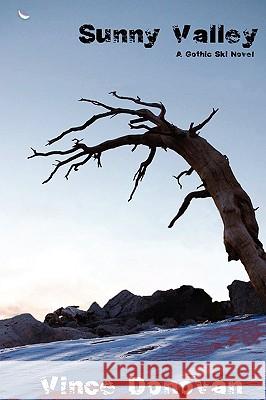 Sunny Valley Vince Donovan 9780578020747