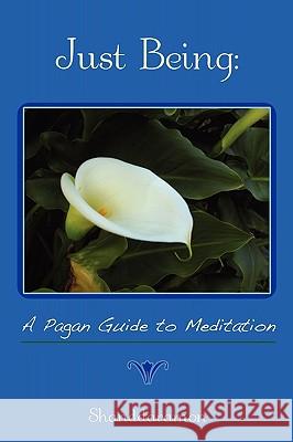 Just Being: A Pagan Guide to Meditation , Shanddaramon 9780578026114
