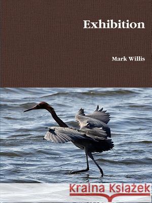 Exhibition Mark Willis 9780578032665