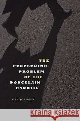 The Perplexing Problem of the Porcelain Bandits Dan Johnson 9780578057736 Wonderful Terrific Publishing
