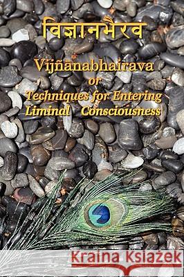 Vijnaanabhairava or Techniques for Entering Liminal Consciousness Dmitri Semenov 9780578060422