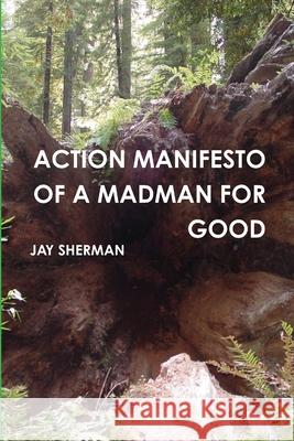 Action Manifesto of a Madman for Good Jay Sherman 9780578127620
