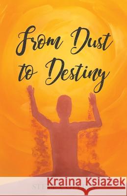 From Dust To Destiny Steve Collins   9780578223391 HIS Publishing Group
