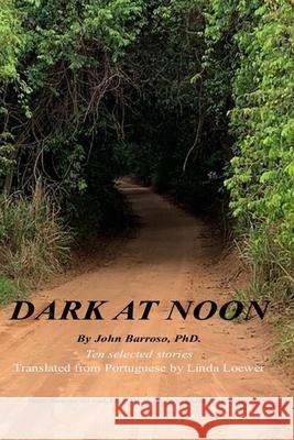 Dark at Noon John Barroso Linda Loewer John Barroso 9780578253541