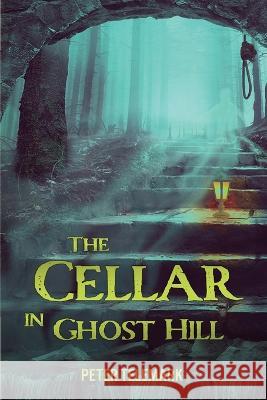 The Cellar in Ghost Hill Peter Telemark   9780578269917 ISBN Services