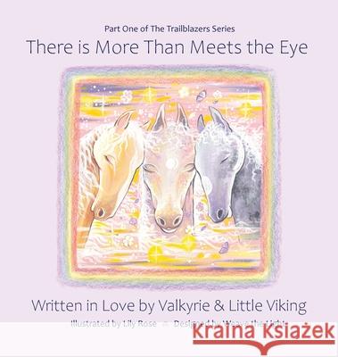 There is More Than Meets the Eye Valkyrie, Little Viking, Lily Rose 9780578301259 Rainbow Tales