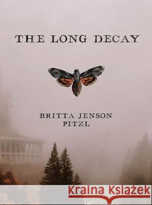 The Long Decay Britta Jenson Pitzl 9780578303819 Britta Jenson Pitzl