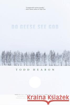 Do Geese See God Todd Hearon 9780578305219 Neutral Zones Press