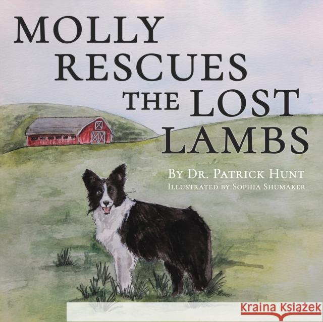 Molly Rescues the Lost Lambs Sophia Shumaker Patrick Hunt 9780578314280 M2e Motivational Consulting LLC