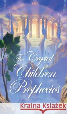 The Crystal Children Prophecies Channele Meliane Amawi Jeff Haynie  9780578391588 Channele Meliane Amawi