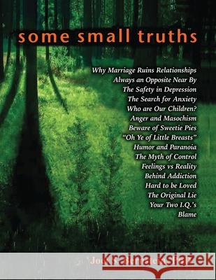 Some Small Truths Joel S. Bernstein 9780578423838