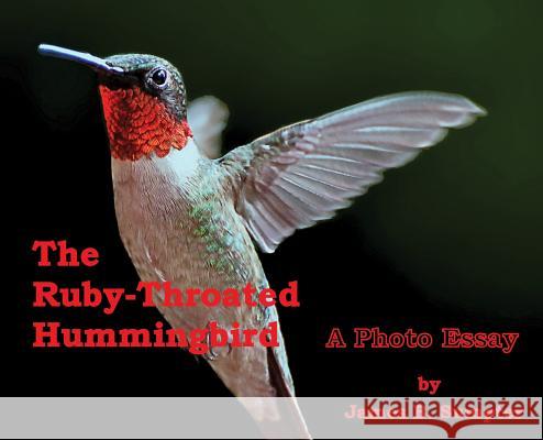 The Ruby-throated Hummingbird: A photo essay Sumpter, James B. 9780578425030 James B. Sumpter