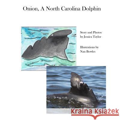 Onion, a North Carolina Dolphin Jessica Sarah Taylor Nan Bowles 9780578472089 Outer Banks Center for Dolphin Research
