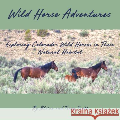Wild Horse Adventures: Exploring Colorado's wild horses in their natural habitat Scott, Blaine M. 9780578481852 Steadfast Steeds