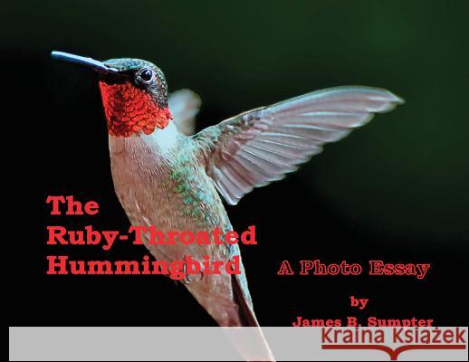 The Ruby-throated Hummingbird: A Photo Essay James B. Sumpter James B. Sumpter 9780578516516 James B. Sumpter