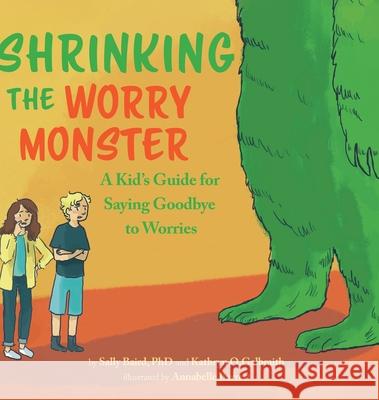 Shrinking the Worry Monster: A Kids Guide for Saying Goodbye to Worries Baird, Sally 9780578518404 Village Books