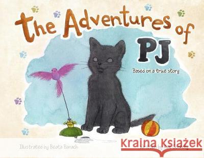 The Adventures of PJ Kat Connolly 9780578571614 Connolly Consulting