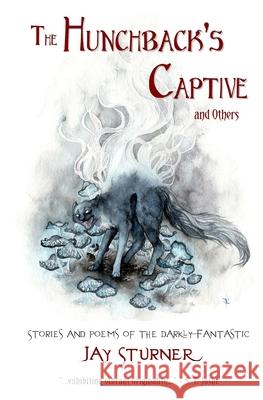 The Hunchback's Captive and Others: Stories and Poems of the Darkly Fantastic Jason Sturner, Jay Sturner, Amelia Royce Leonards 9780578586137 Fairy Thrush Press
