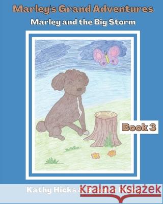 Marley and the Big Storm Braden Hicks Kathy Hicks 9780578589343 Believing His Word Ministries