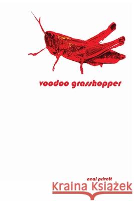 Voodoo Grasshopper: Stories Neal Privett 9780578648026