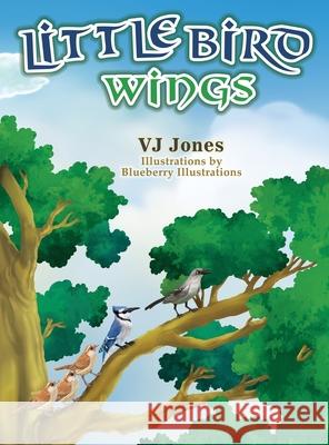 Little Bird Wings V J Jones, Blueberry Illustrations 9780578710129 Van Jones