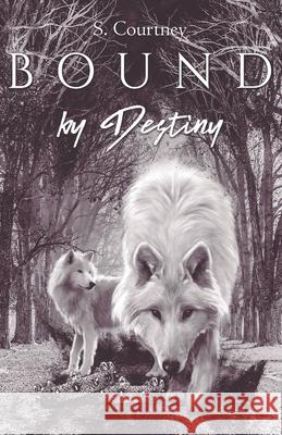 Bound by Destiny S. Courtney 9780578713663 Shakkia Courtney