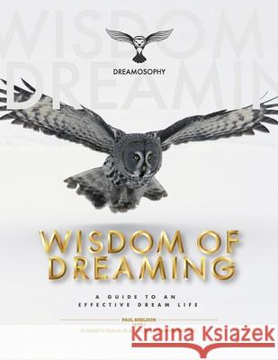 Wisdom of Dreaming: A Guide to an Effective Dream Life Paul M. Sheldon Elizabeth Eagar Ingrid Bamberg 9780578731858 Limnosophy, LLC