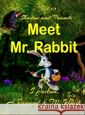Shadow and Friends Meet Mr. Rabbit Mary L. Schmidt S. Jackson A. Raymond 9780578732244 M. Schmidt Productions
