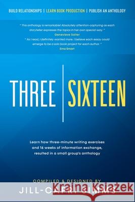 Three Sixteen: Build Relationships, Learn Book Production, Publish an Anthology Addie Lee Hention Jill-Capri Simms 9780578735849