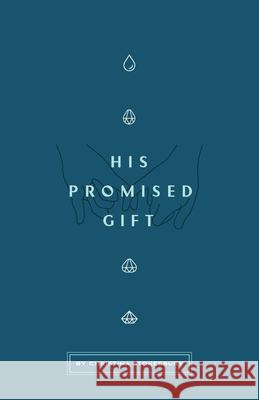 His Promised Gift Christina Stokesbury 9780578763903