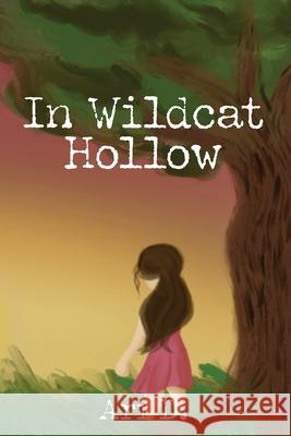In Wildcat Hollow Ari D 9780578797380 Pisteuo Publications