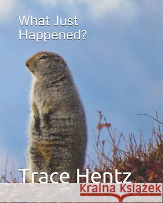 What Just Happened? Trace L. Hentz Trace Lara Hentz 9780578867250 Blue Hand Books