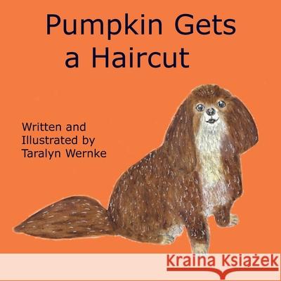 Pumpkin Gets a Haircut Taralyn Wernke 9780578924991 Taralyn Wernke