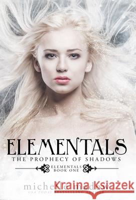 Elementals: The Prophecy of Shadows Madow, Michelle 9780578988559 Dreamscape Publishing
