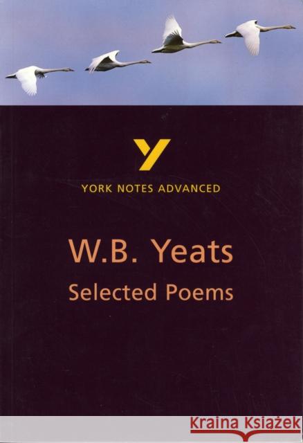 Selected Poems of W B Yeats: York Notes Advanced - everything you need to study and prepare for the 2025 and 2026 exams Derry Jeffares 9780582414679