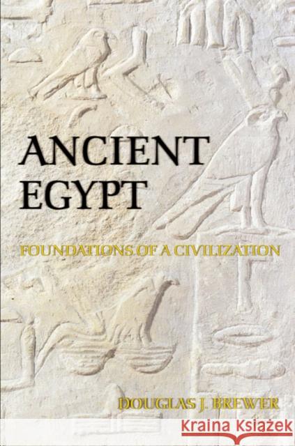 Ancient Egypt: Foundations of a Civilization Brewer, Douglas J. 9780582772533 Longman Publishing Group