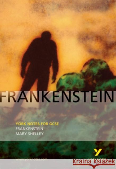 Frankenstein: York Notes GCSE - for 2026, 2027 exams Mary Shelley 9780582772670 Pearson Education (US)