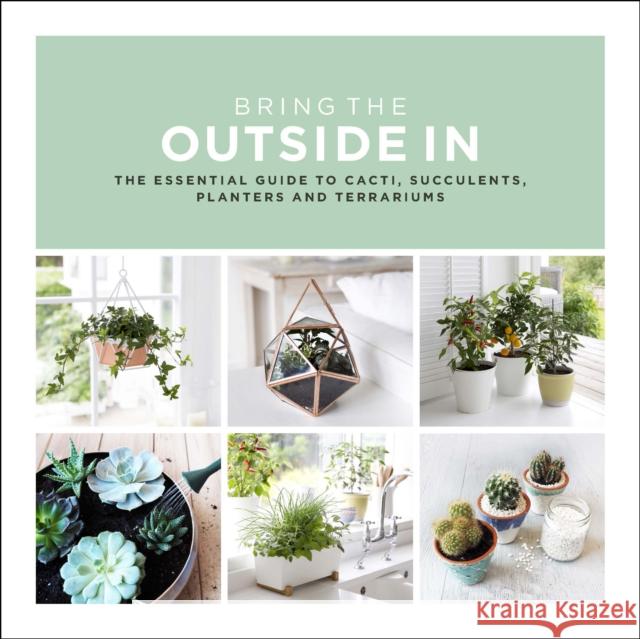 Bring The Outside In: The Essential Guide to Cacti, Succulents, Planters and Terrariums Val Bradley 9780593078396