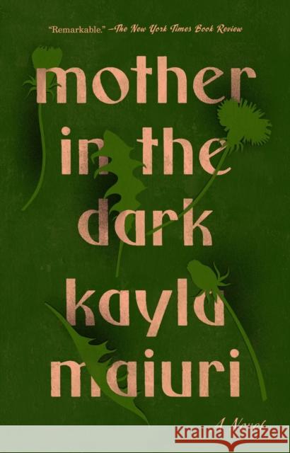 Mother In The Dark Kayla Maiuri 9780593083291 Random House USA Inc