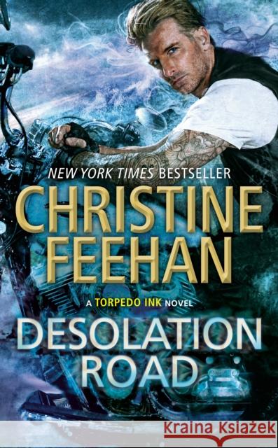 Desolation Road Christine Feehan 9780593099759 Berkley Books