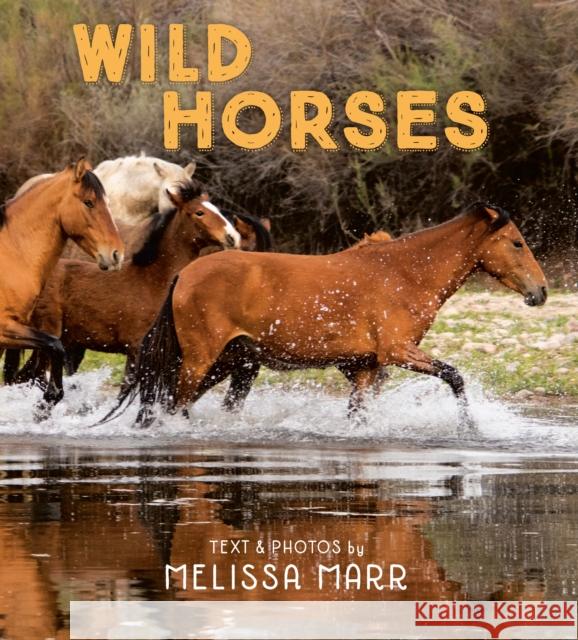 Wild Horses Melissa Marr Melissa Marr 9780593109113 Nancy Paulsen Books