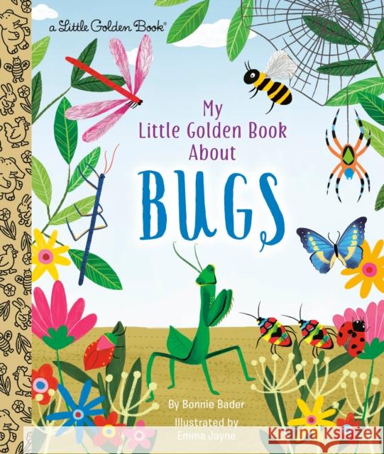 My Little Golden Book about Bugs Bonnie Bader Emma Jayne 9780593123881 Golden Books